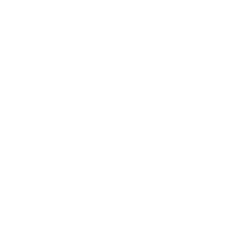 Caracol Chocolates