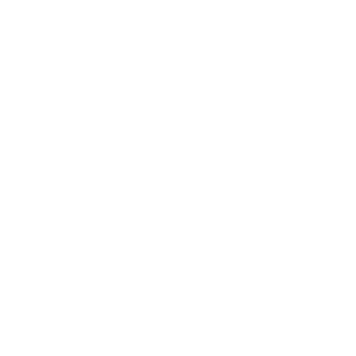 Risque Rabisque