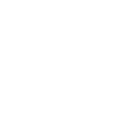 Vellbizz